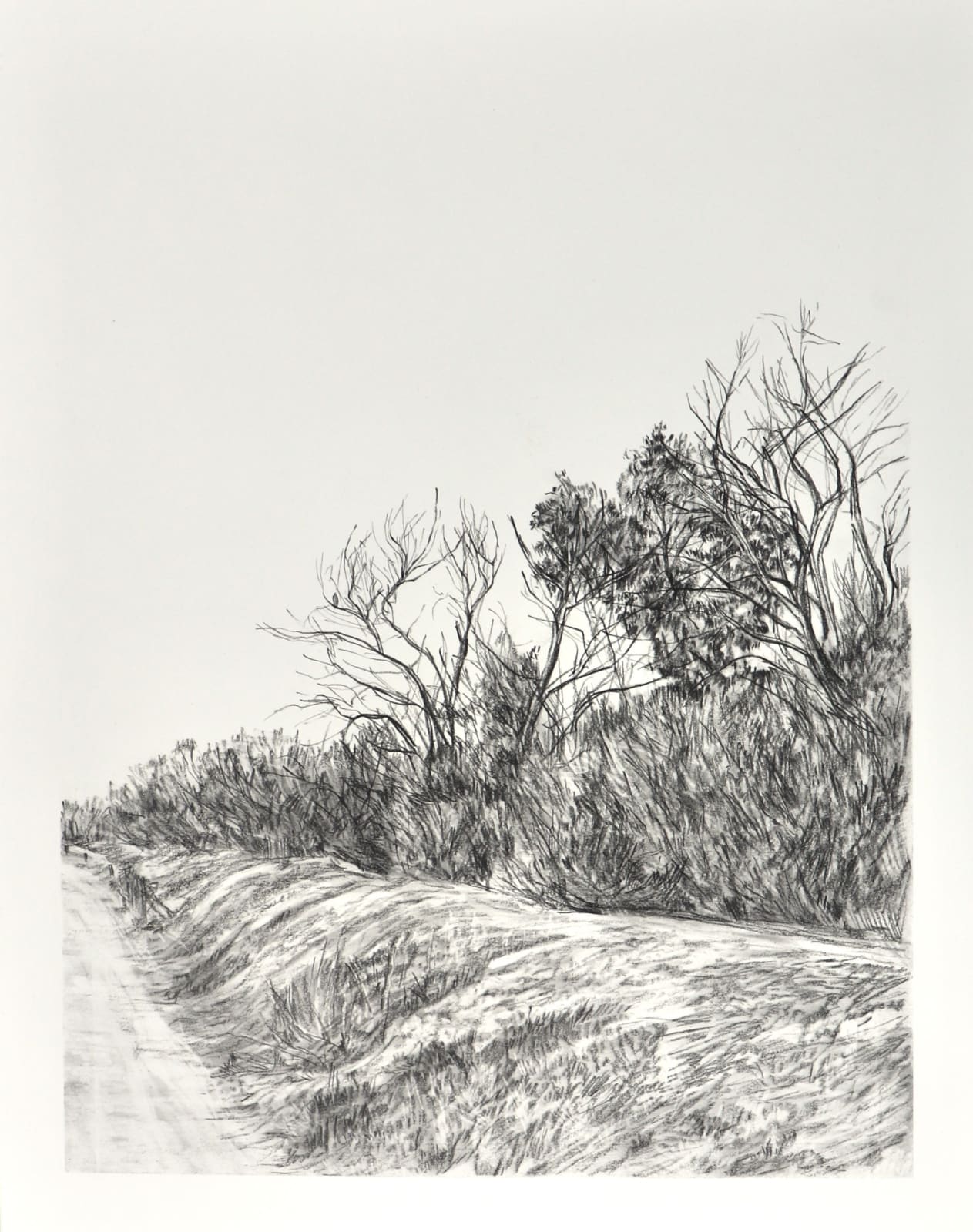 Melanie Taylor, Borderland 8