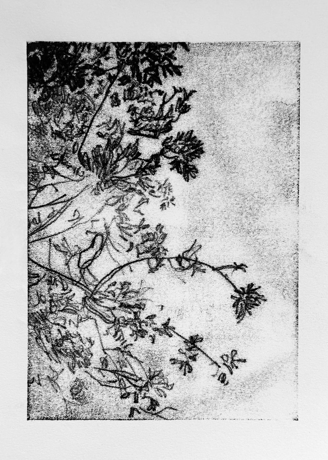 Melanie Taylor, Trace 6