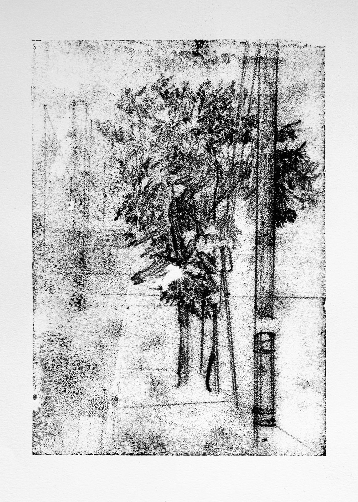 Melanie Taylor, Trace 1