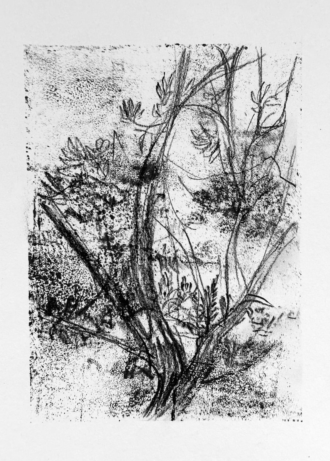 Melanie Taylor, Traces, 2022