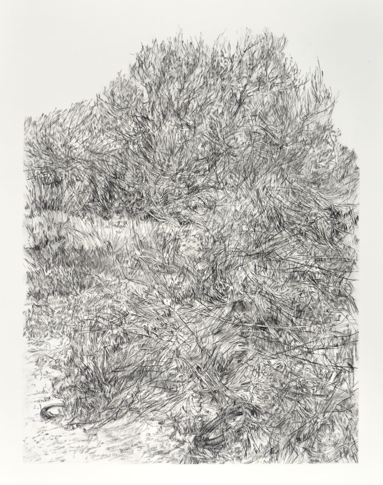 Melanie Taylor, Borderland 7