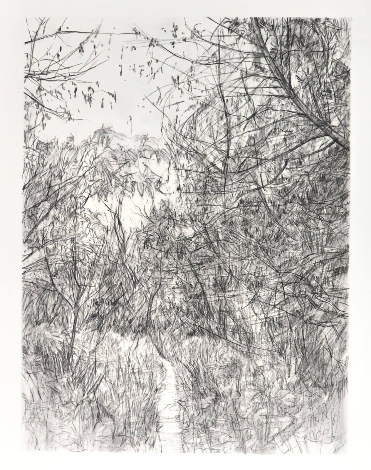 Melanie Taylor, Borderland I