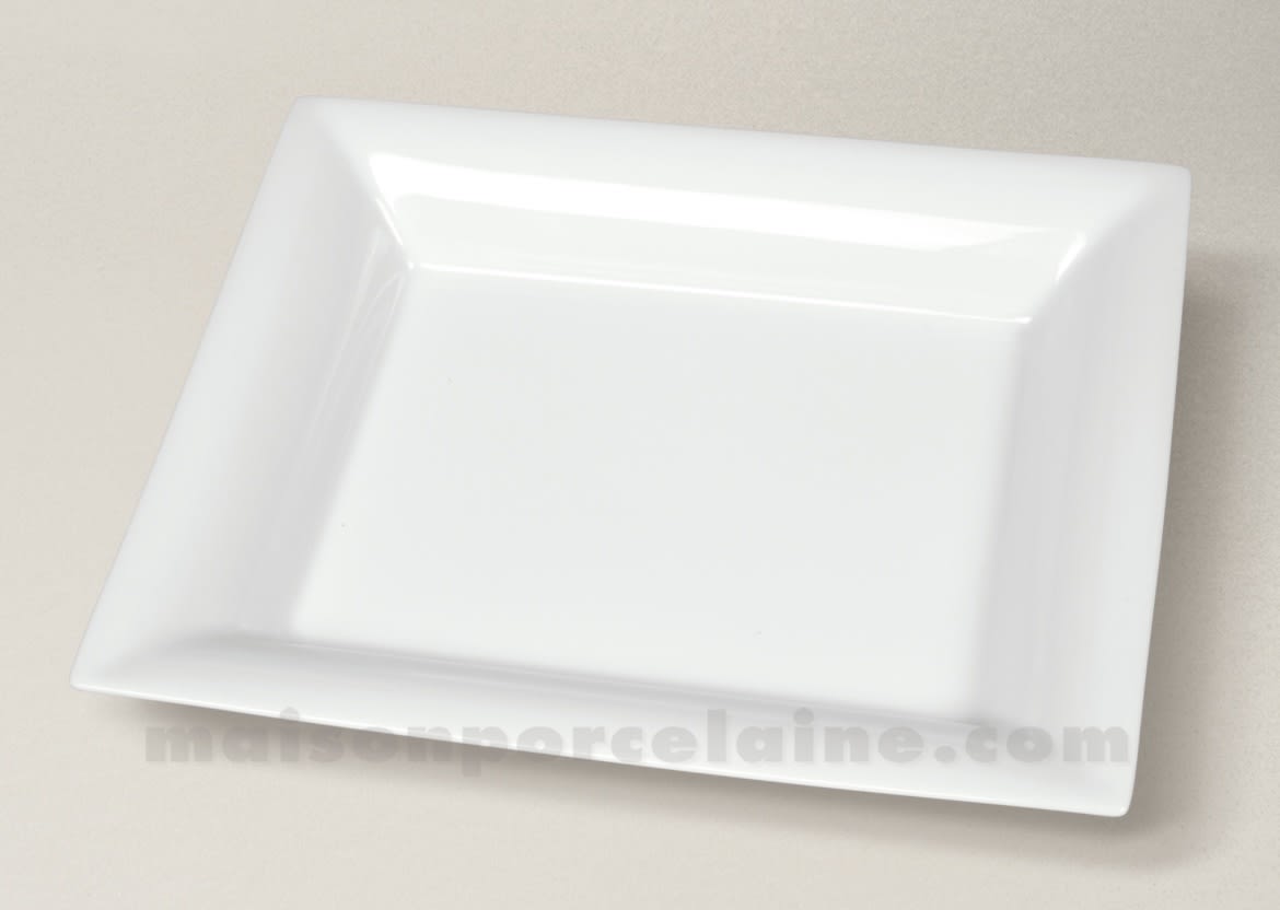 Image of the authentic Limoges Porcelain piece you will paint during the class
