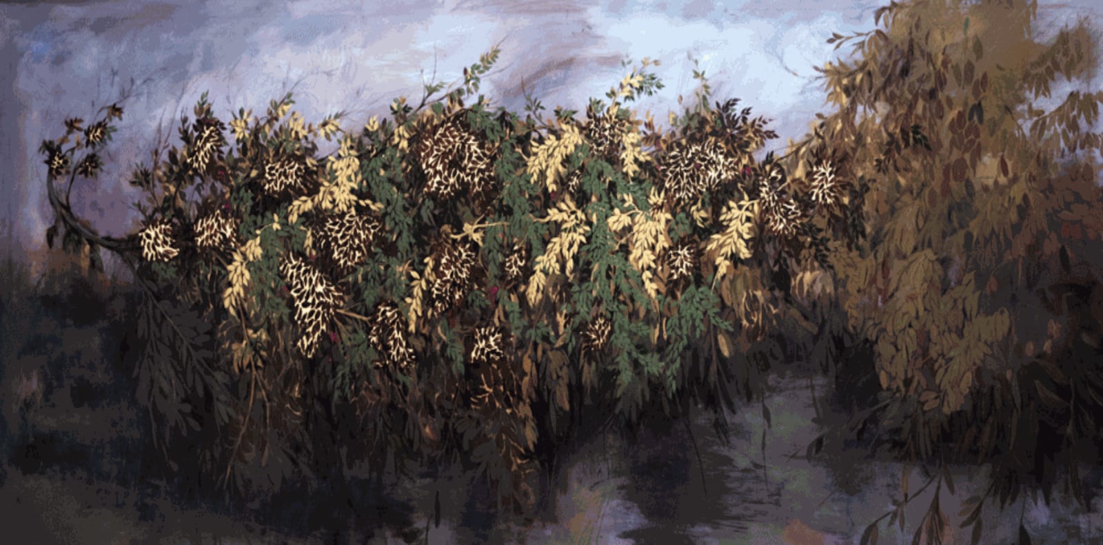 Emad Ibrahim, Untitled