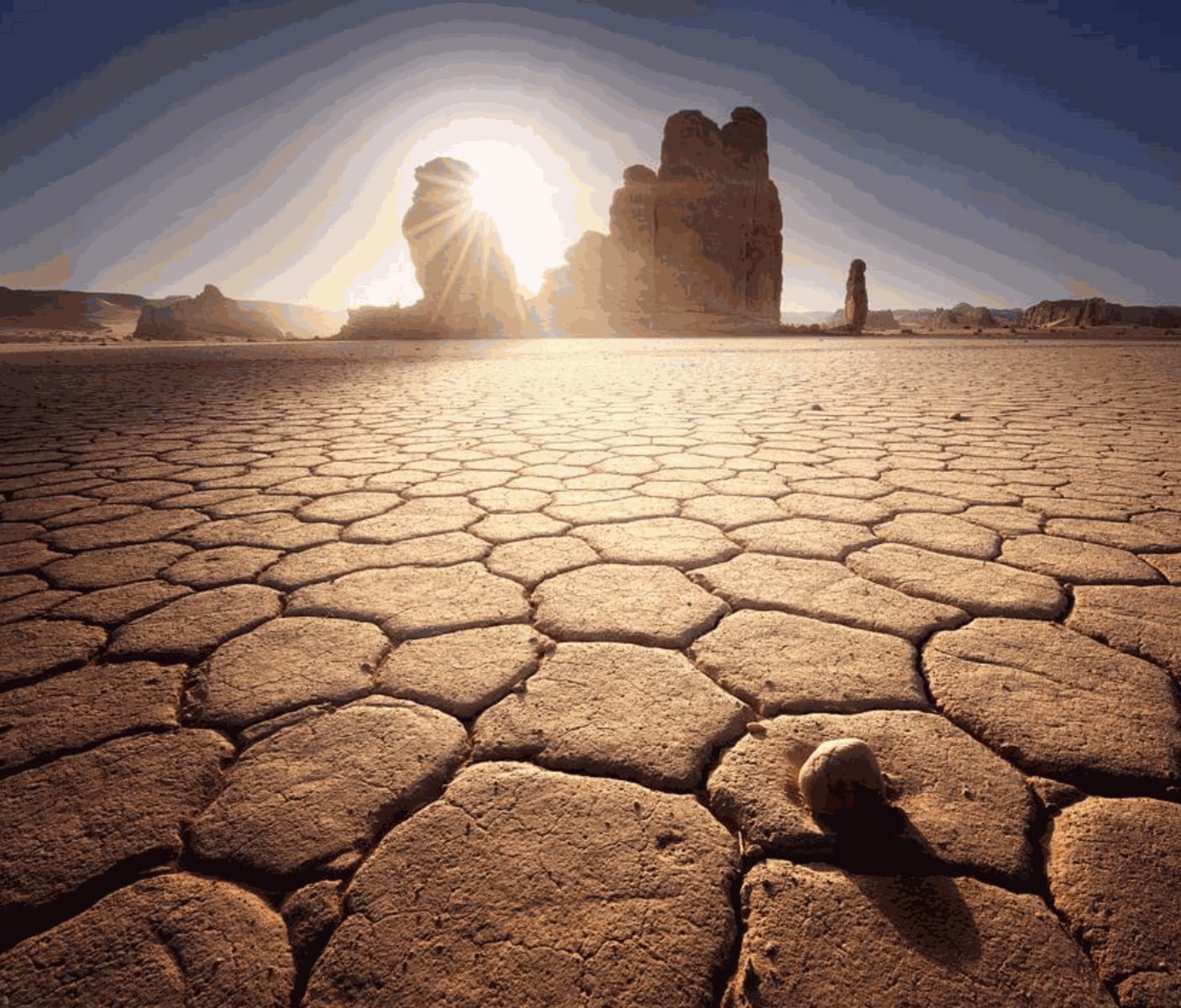 Mohammed Al Angari, العلا