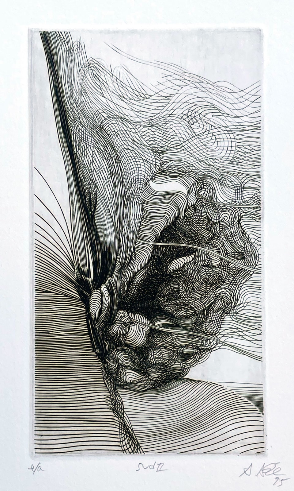 Akira Abé, Sud II, 1995