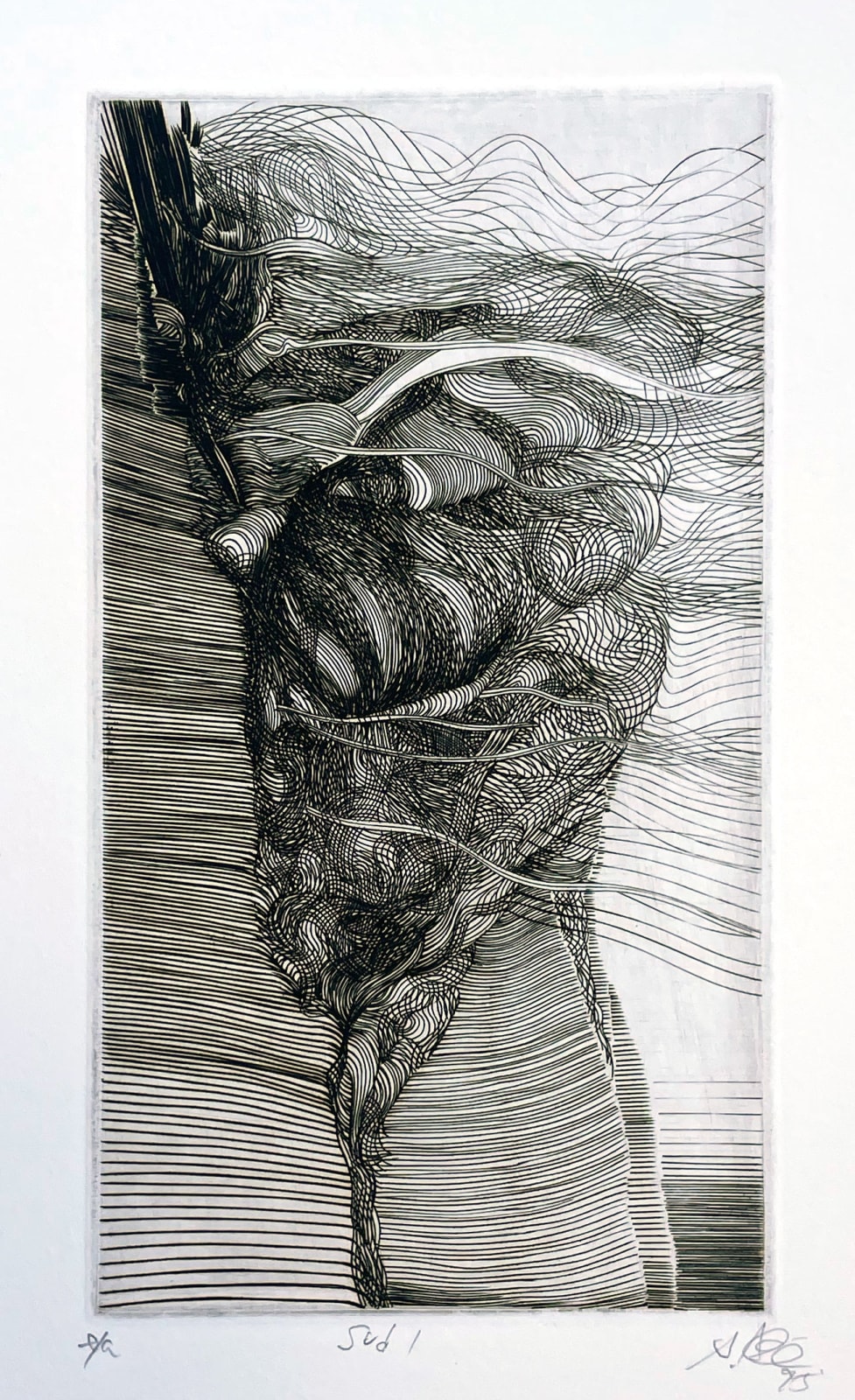 Akira Abé, Sud I, 1995