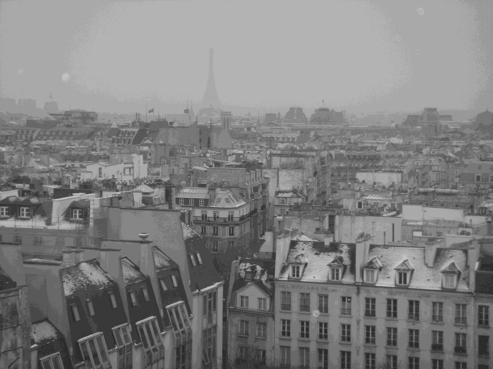 Analize Nicolini, Roofs I, 2005