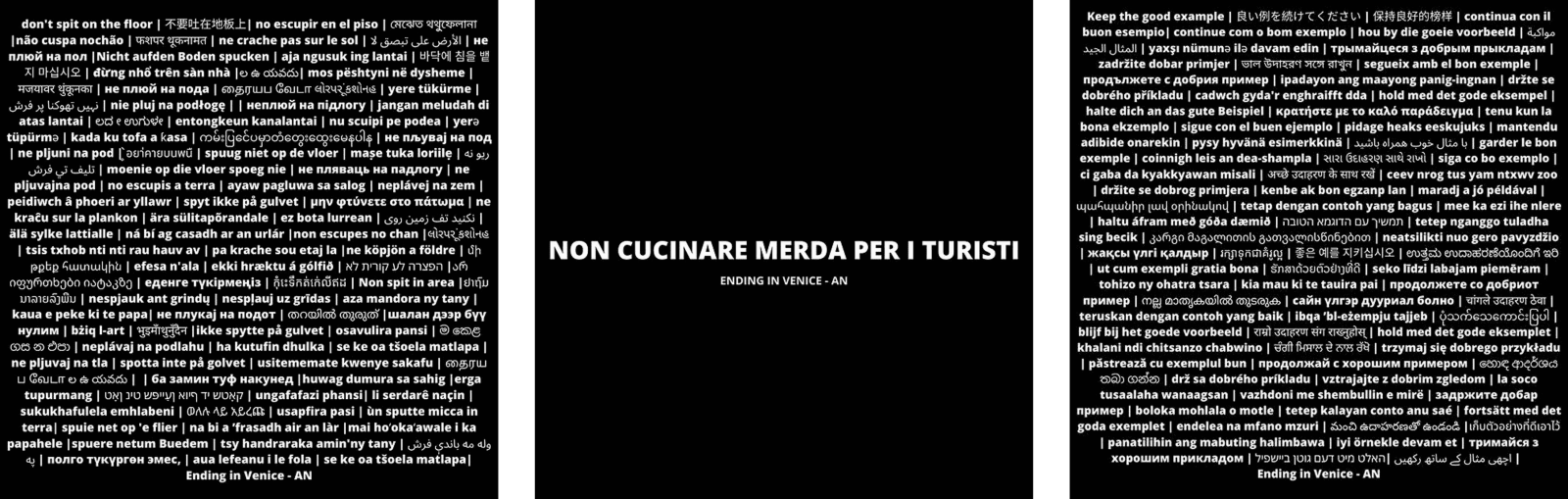 Analize Nicolini, Ending in Venice, 2019