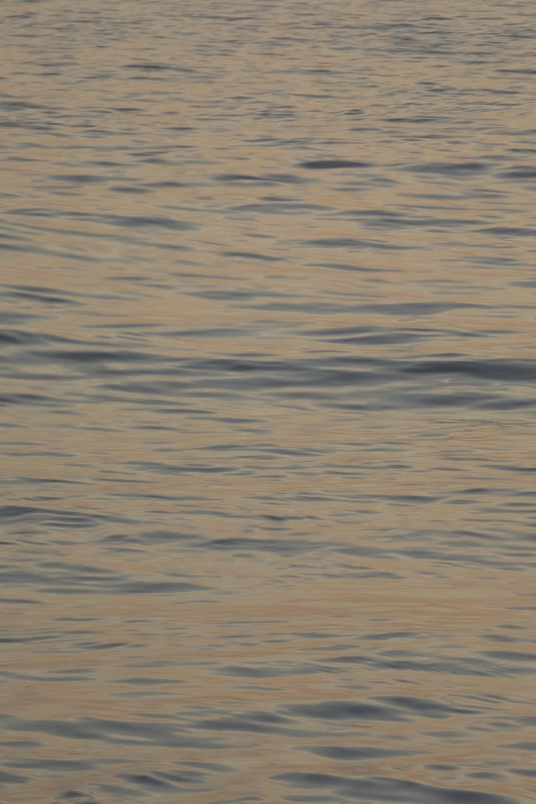 Analize Nicolini, 22°59’14.052” S 43°13’13.284” W 08/01 18:31:50 , 2019