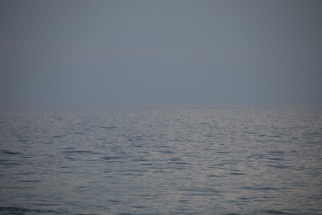 Analize Nicolini, 22°59’14.472” S 43°13’13.529” W 12/05 17:13:02, 2019