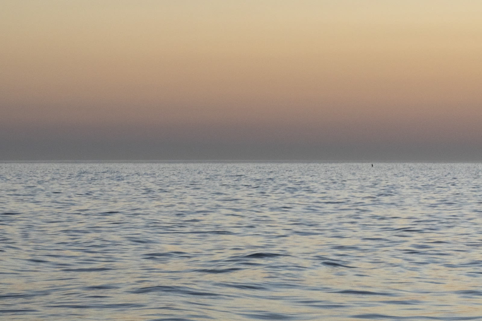 Analize Nicolini, 22°59’14.759” S 43°13’13.386” W 08/01 18:45:20, 2019