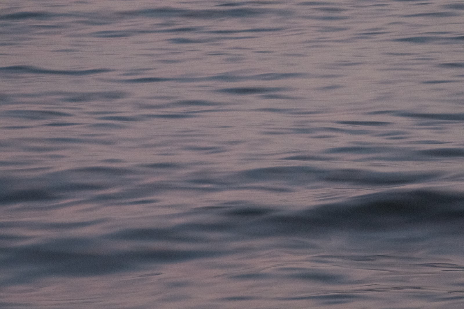 Analize Nicolini, 22°59’13.589” S 43°13’13.175” W 02/01 18:25:38, 2019