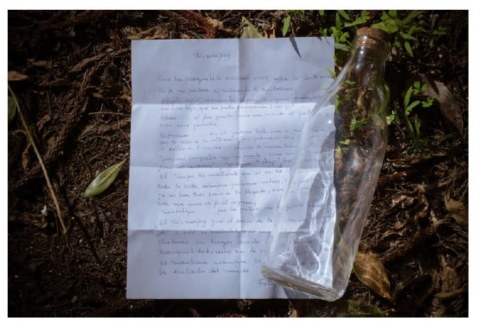 Barbara Oettinger, Trompe Loup, 2014