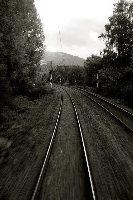 Analize Nicolini, Untitled V, 2008