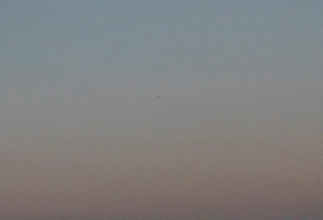 Analize Nicolini , 22°59’14.16” S 43°13’12.48” W 08/07 17:22:08, 2018