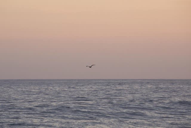 Analize Nicolini, 22°59’14.514” S 43°13’12.809” W 23/08 17:33:18, 2018