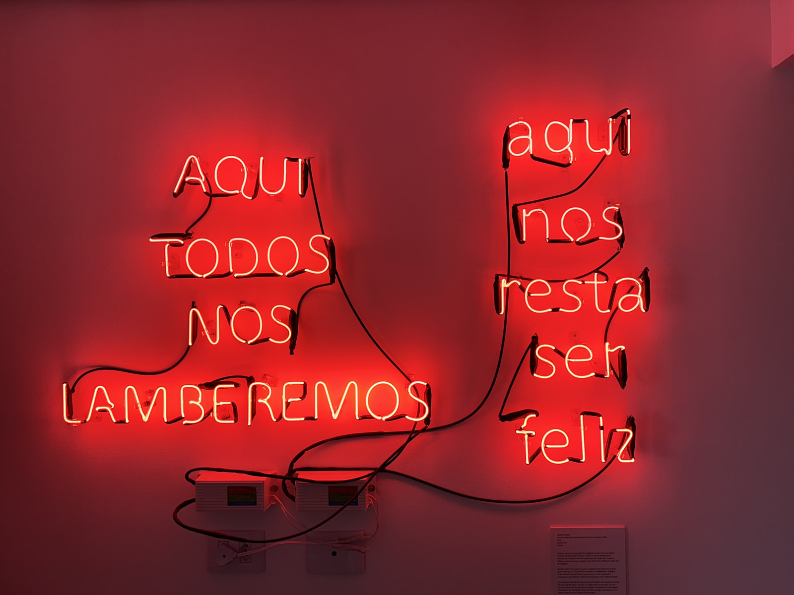 Analize Nicolini, Here We Will All Lick Ourselves, 2022