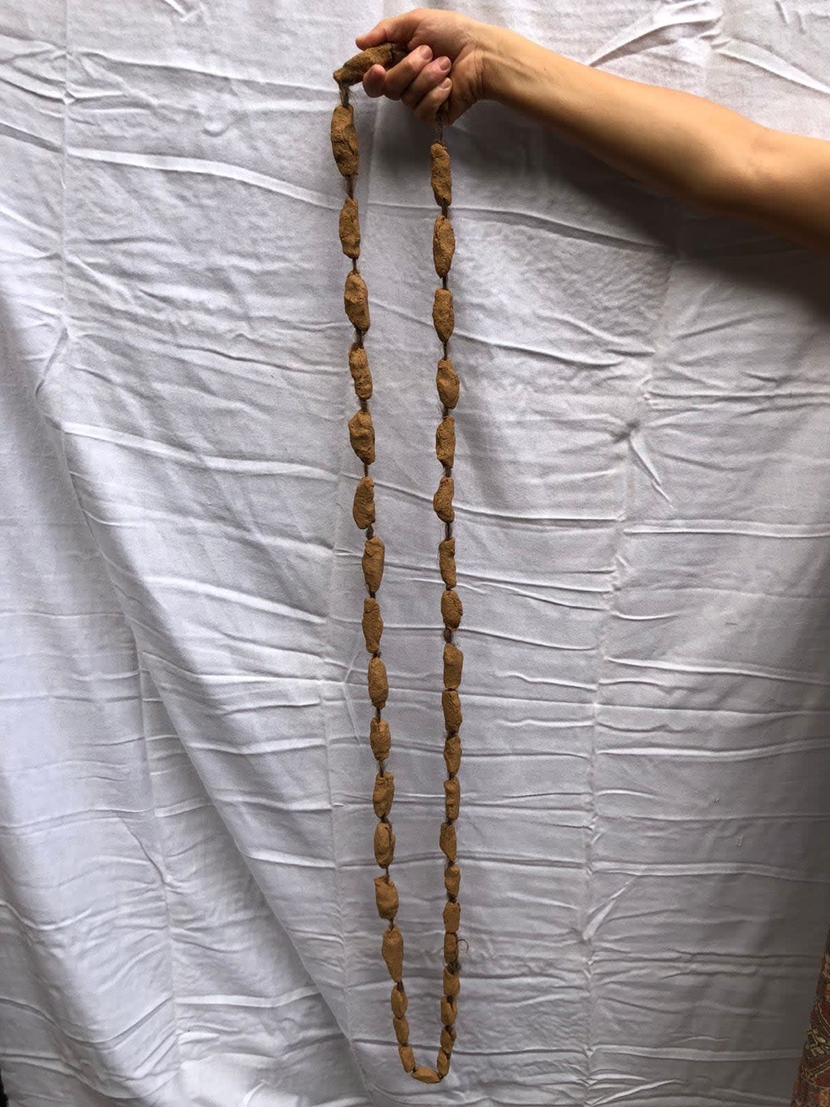 Soiis Rabelo, Origin, 2022