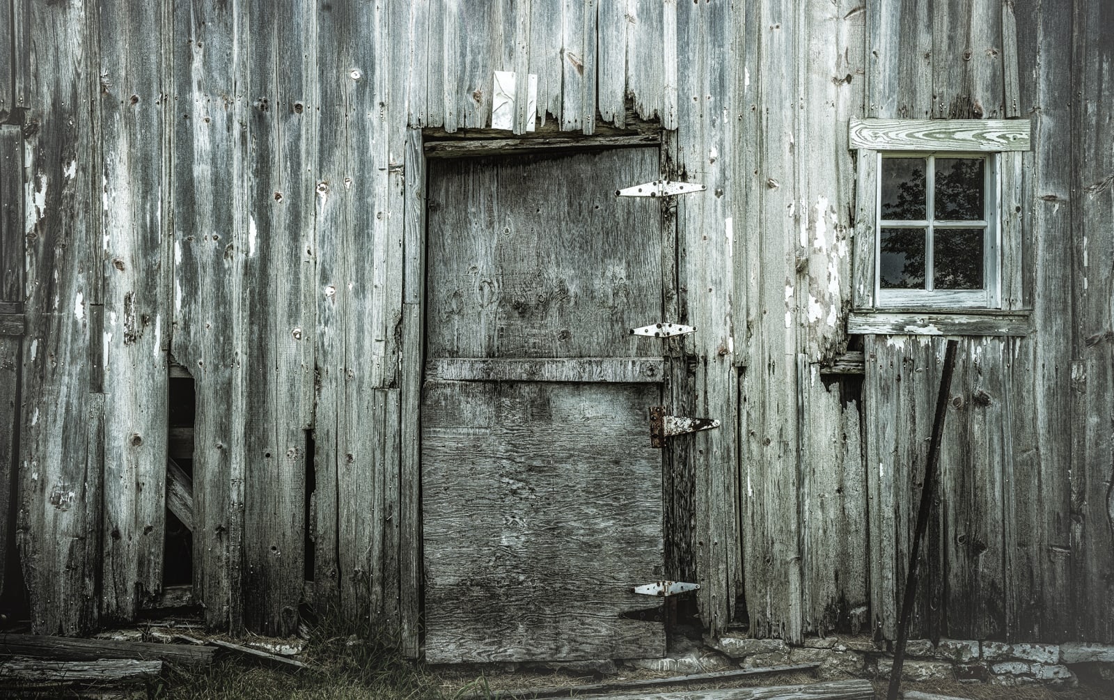 Steve Gallagher, Weatherbeaten, 2025