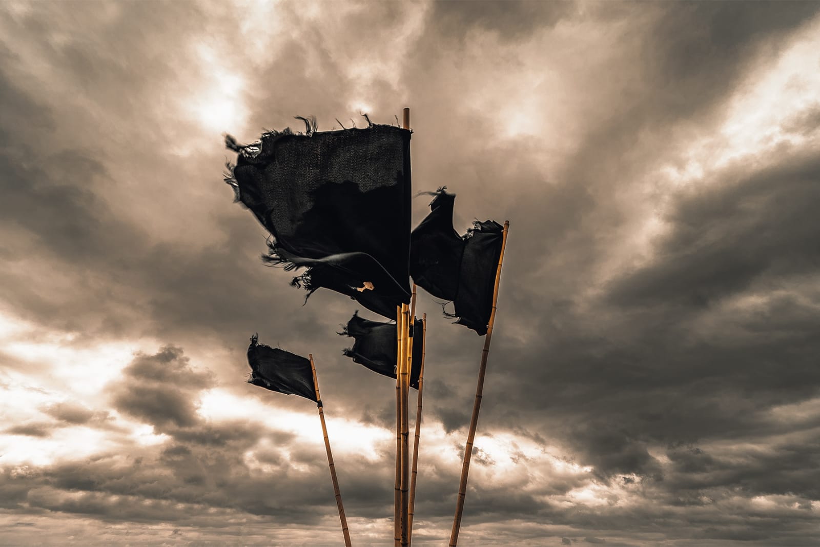 Coastal Contemporary Fishing Flags Steve Gallagher