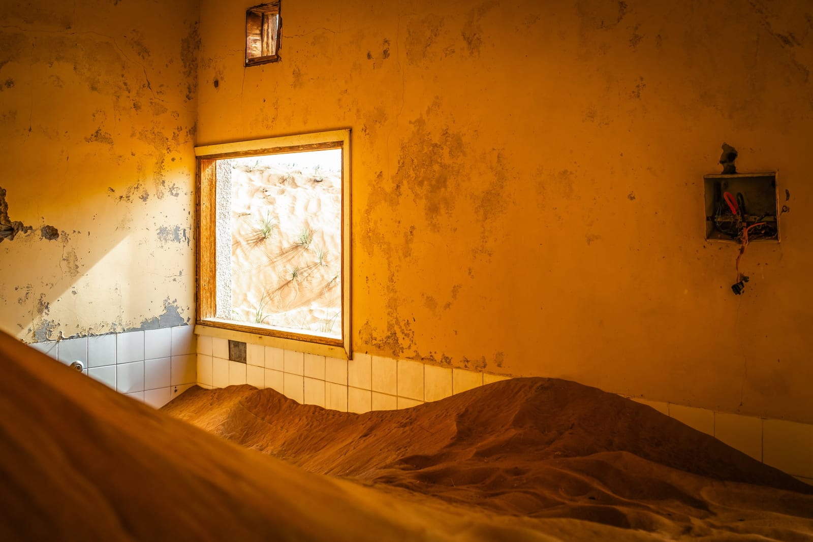 Steve Gallagher, Al Madam VI, 2024