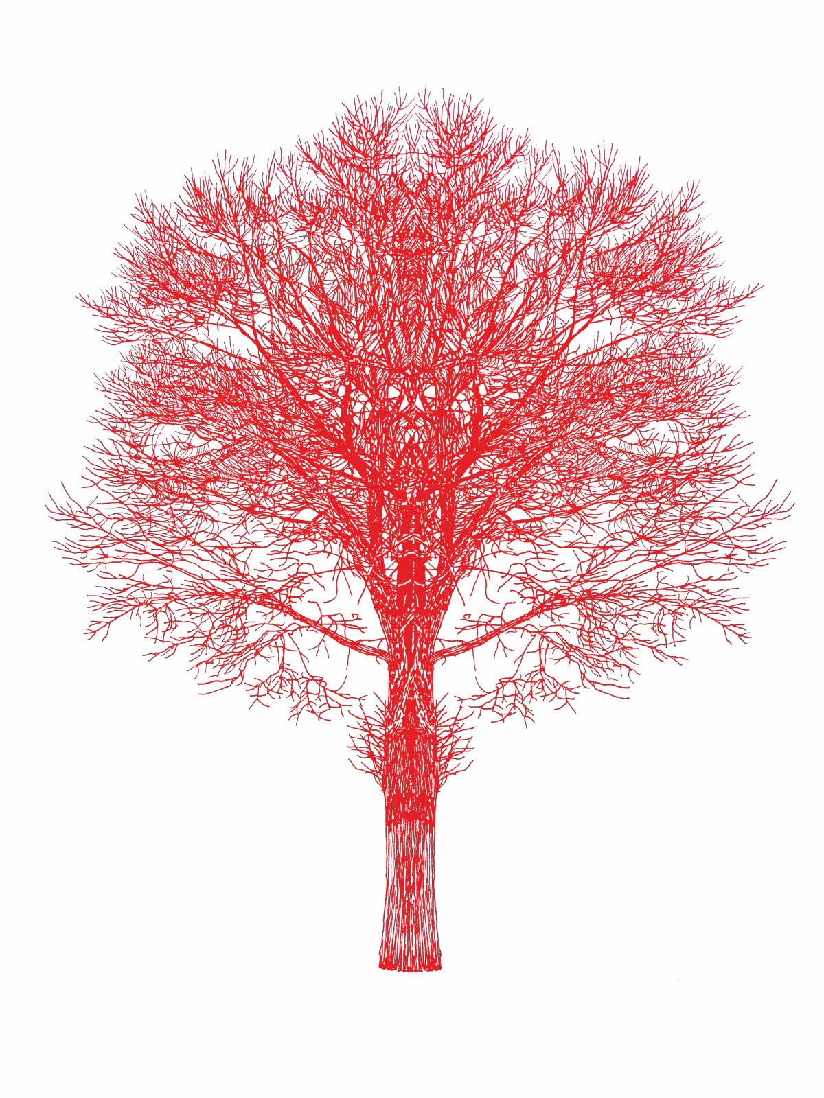 Eamon O'Kane, Red Baum Test, 2022