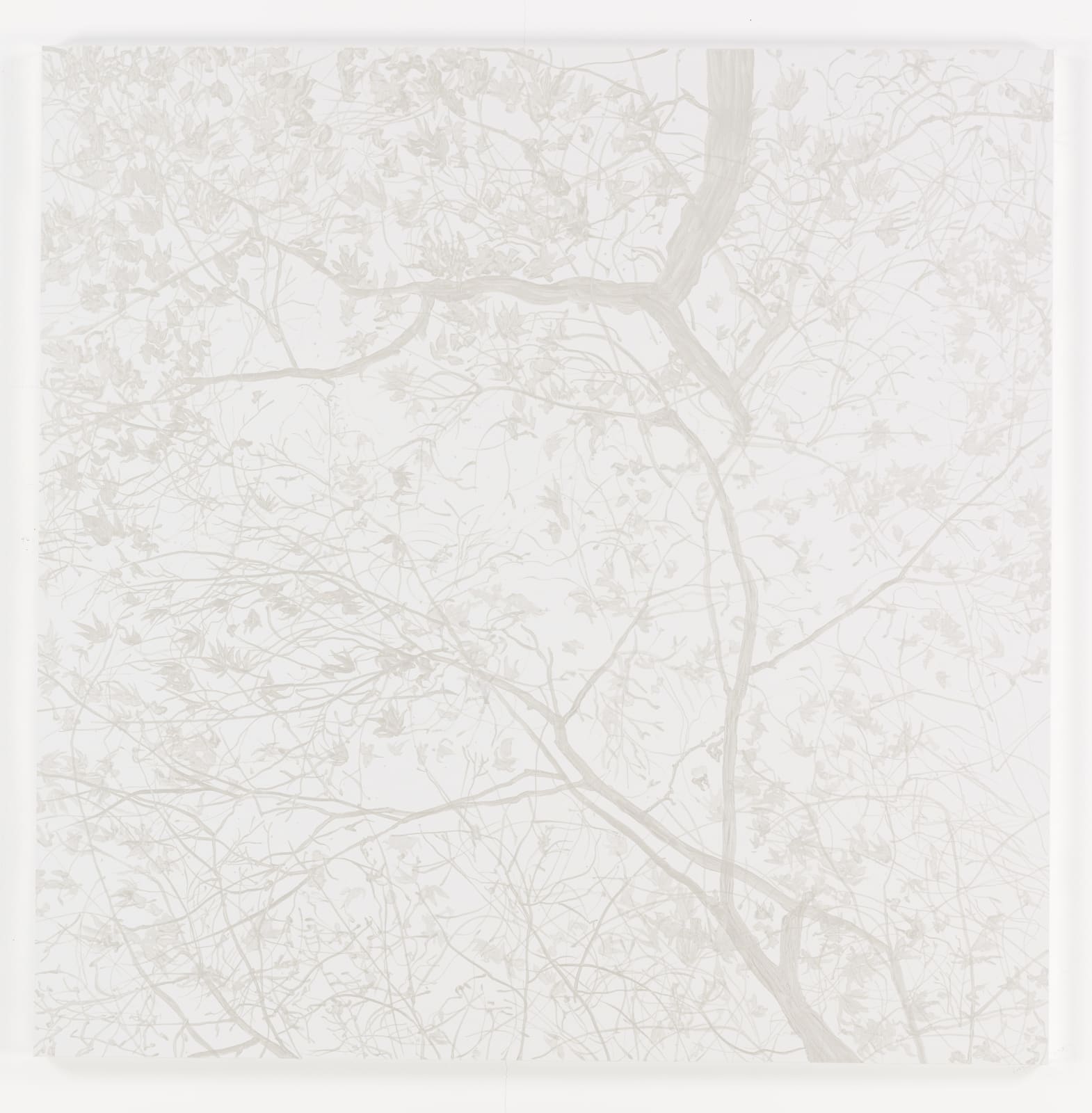 Sue Arrowsmith, Waiting for the moon, 2016