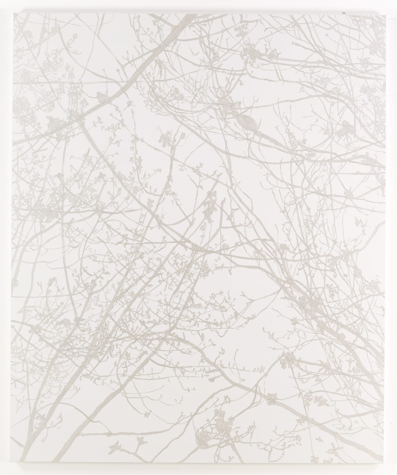 Sue Arrowsmith, Too marvellous for words, 2016