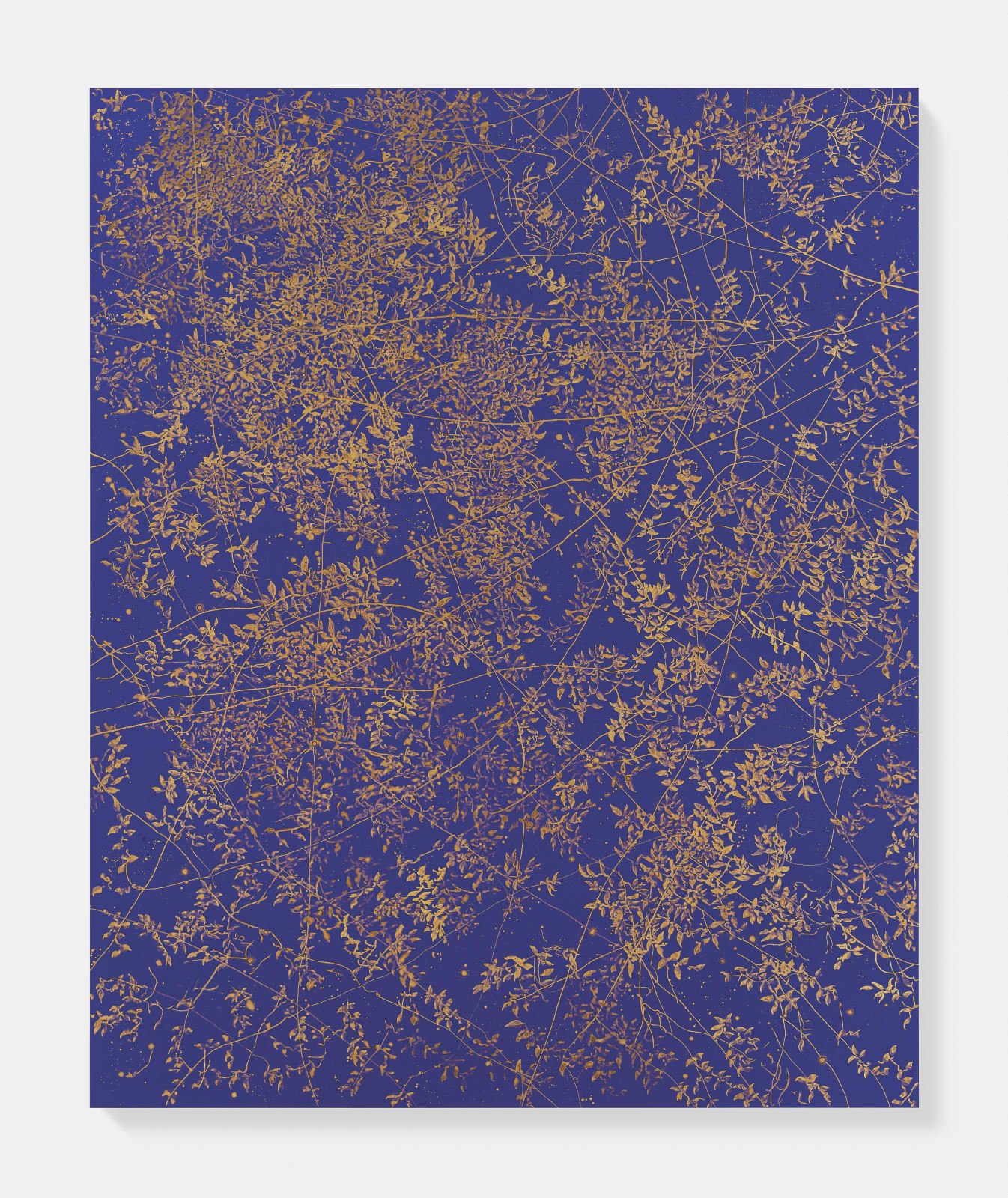 Sue Arrowsmith, Let the wind blow through your heart, 2019