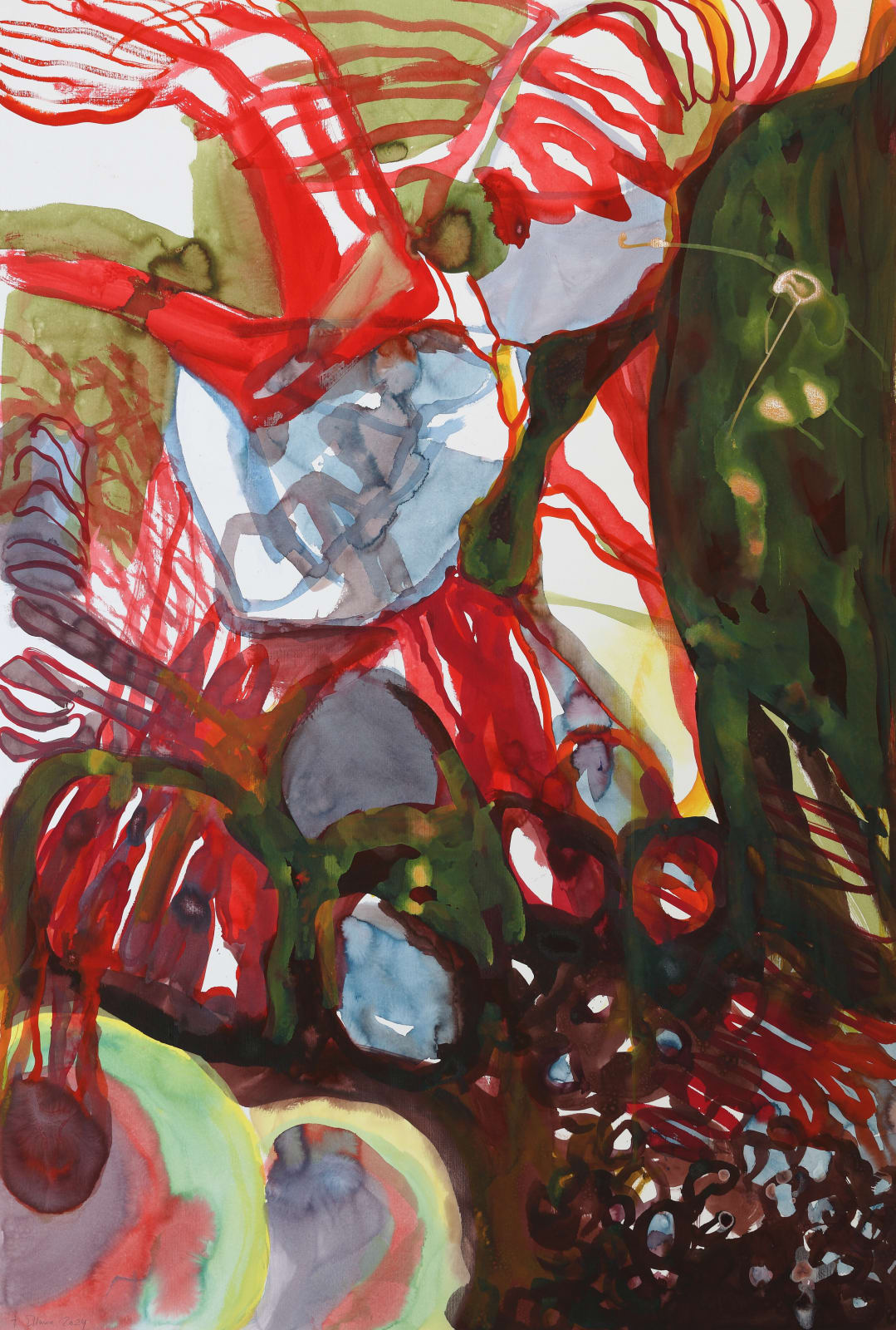 Barbara Ellmerer, Phloem, 2024
