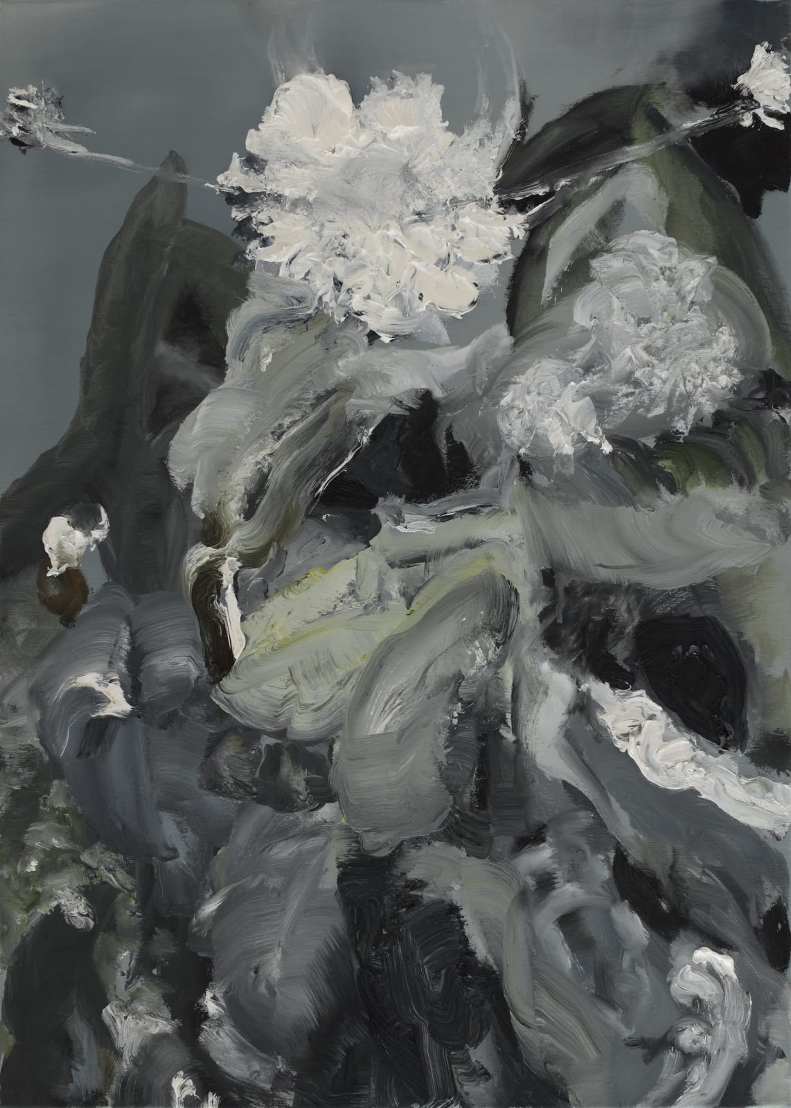 Barbara Ellmerer, Polarized Dark, 2013