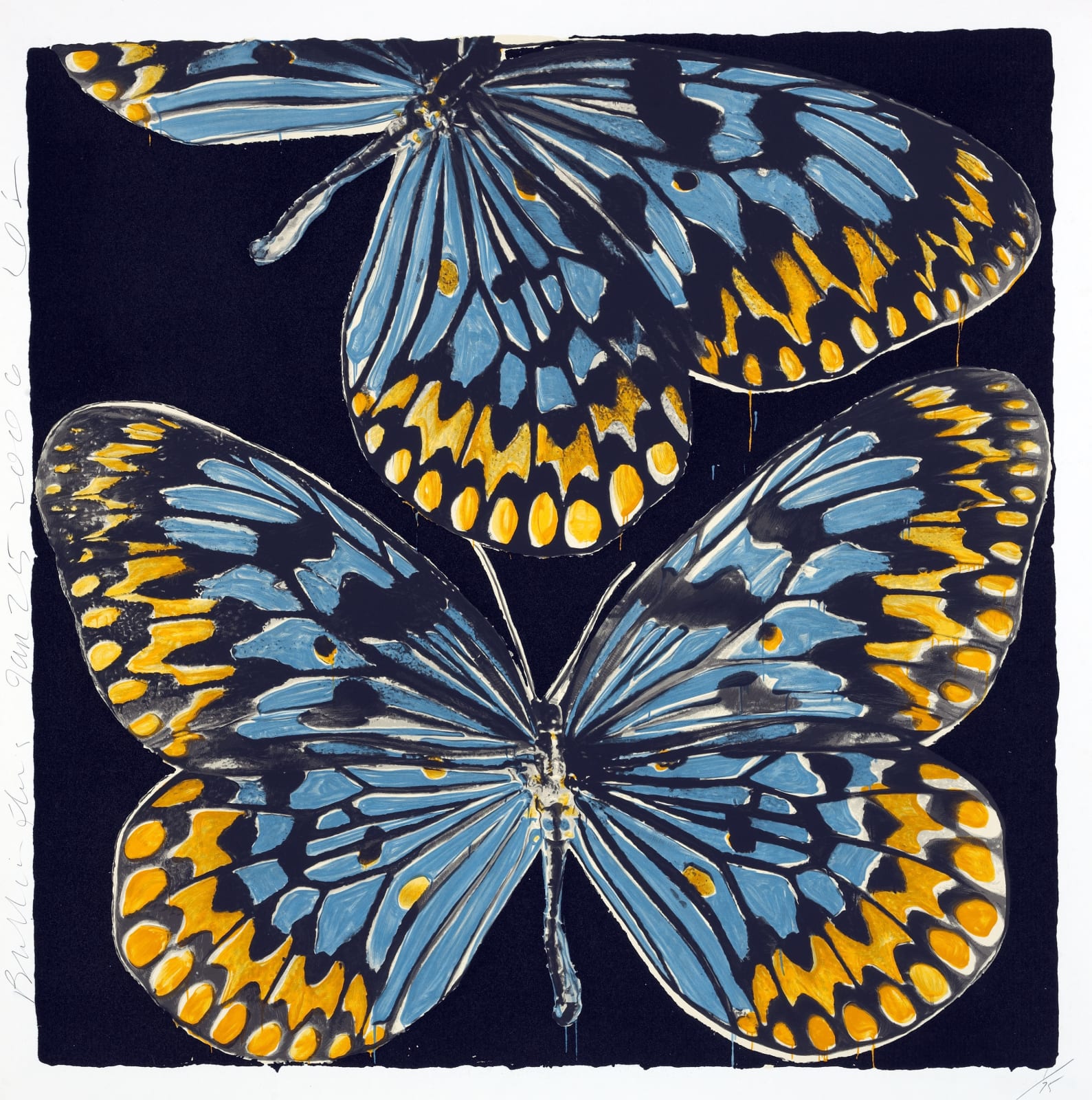 Donald Sultan, BUTTERFLIES, JAN 25, 2006, 2007