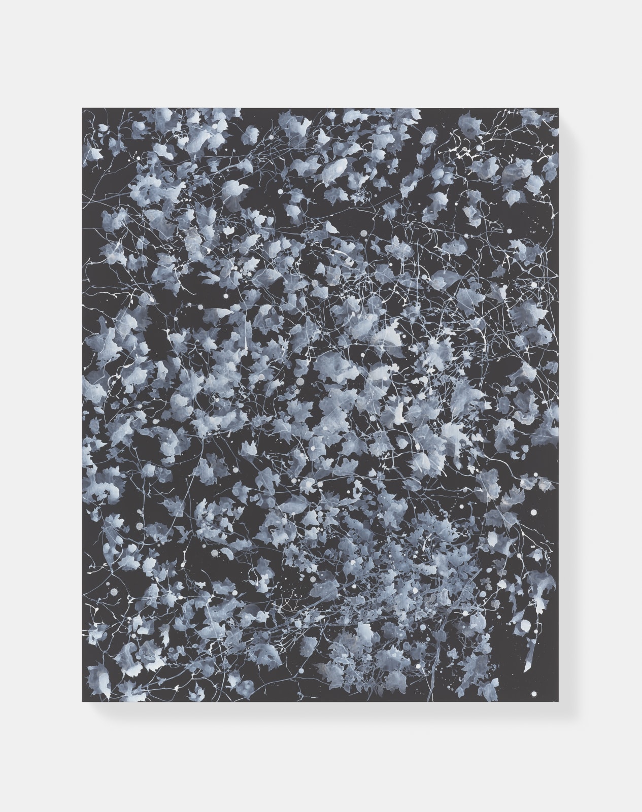 Sue Arrowsmith, The stars have all gone by, 2019