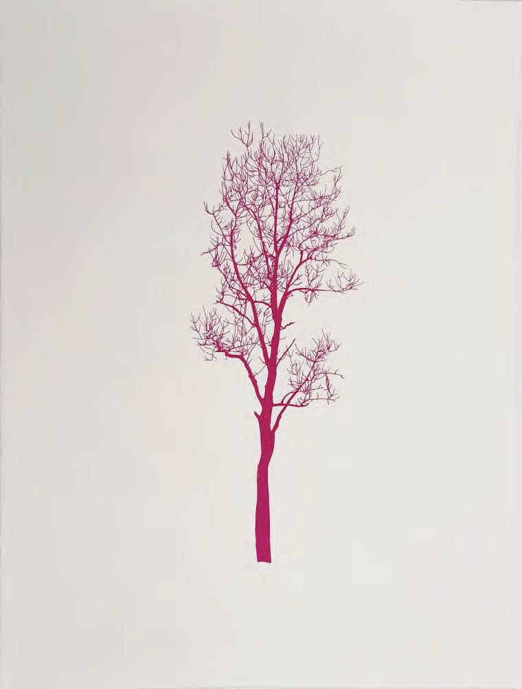 Eamon O'Kane, Magenta Tree, 2025