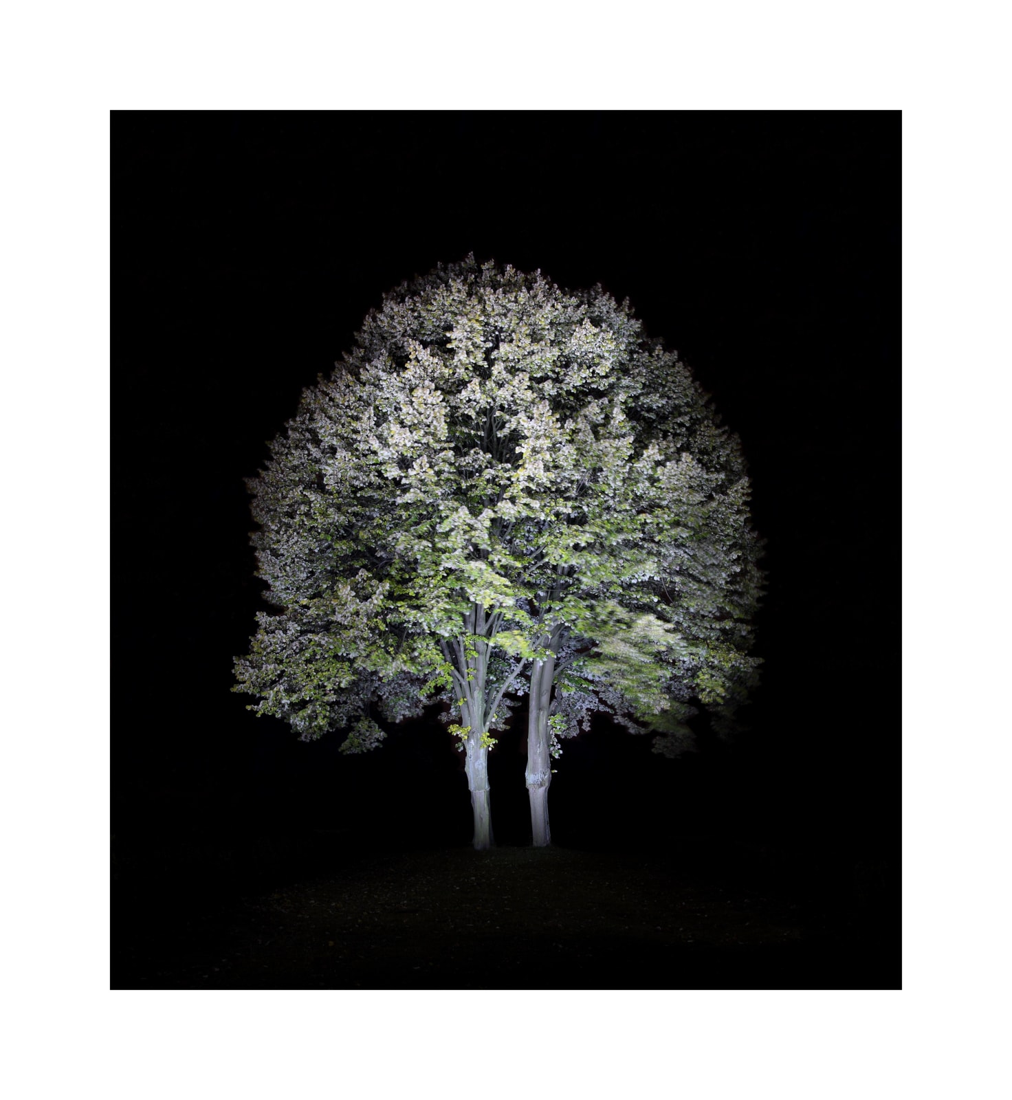 Ralf Peters, Night Colours - Baum 2, 2010