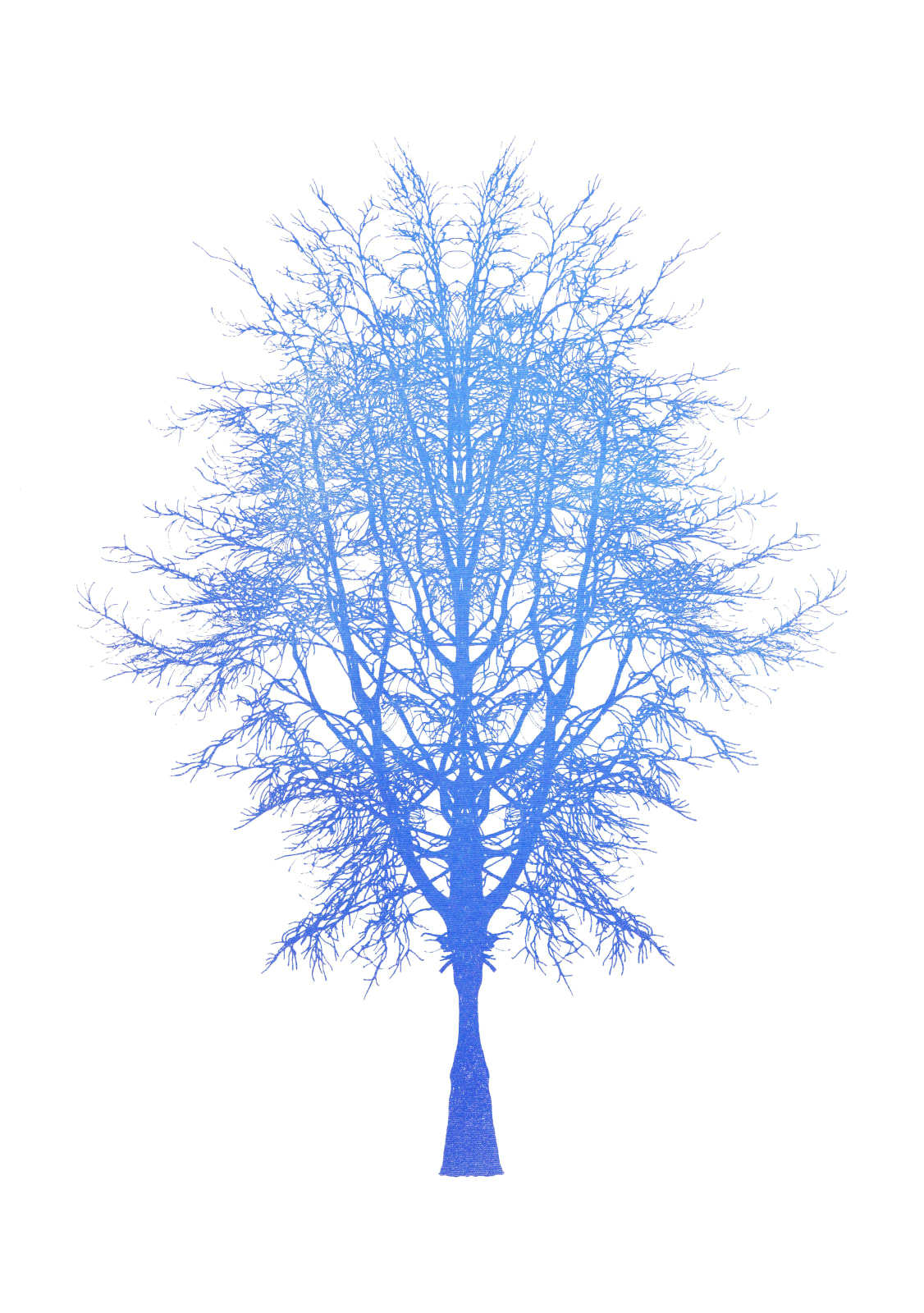 Eamon O'Kane, Blue Baum Test, 2023
