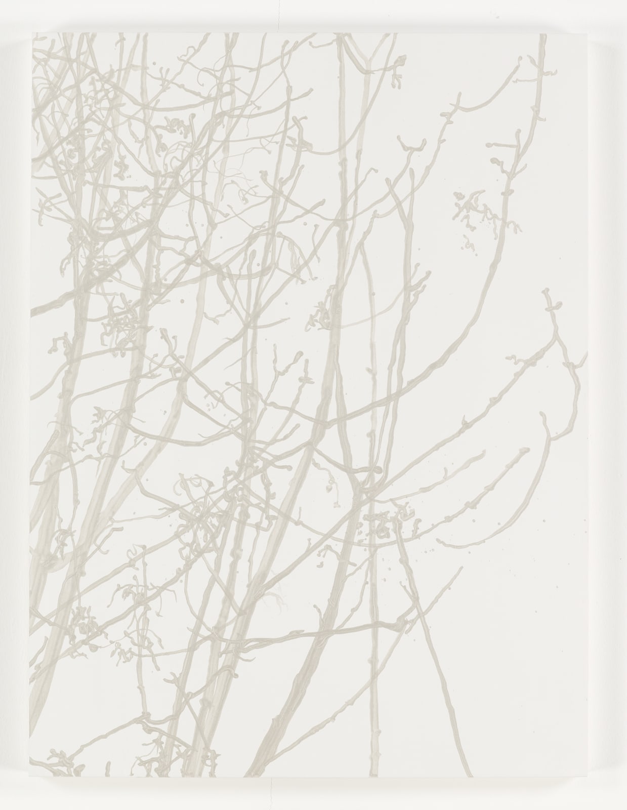 Sue Arrowsmith, Heaven to me, 2016