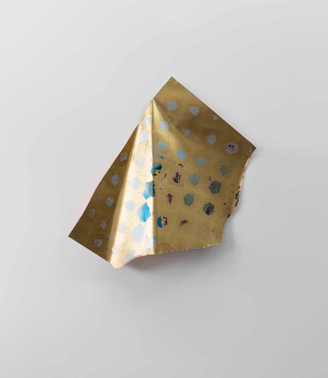 Myriam Holme, panthera, 2024