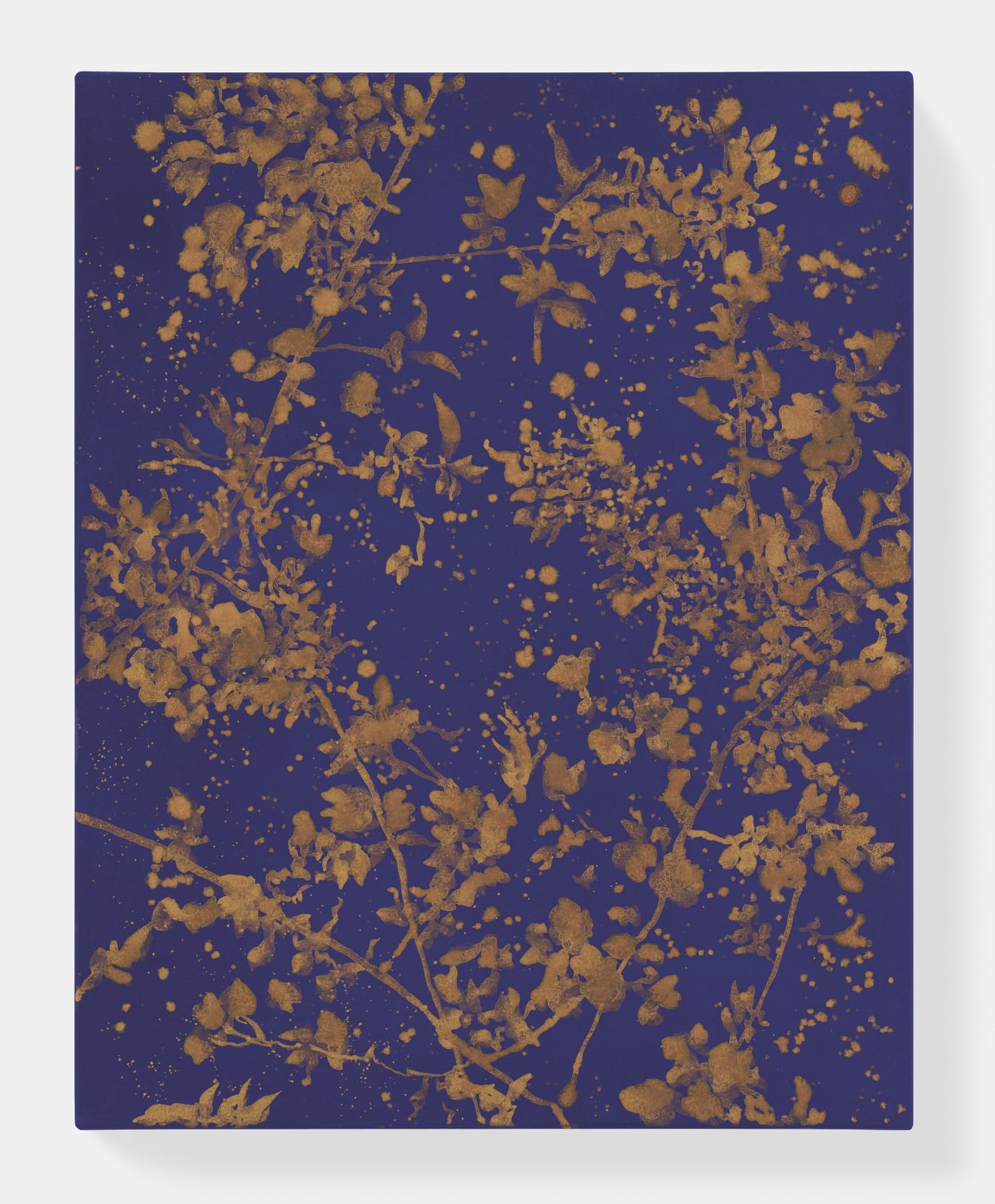 Sue Arrowsmith, I`ve been waiting for you, 2018