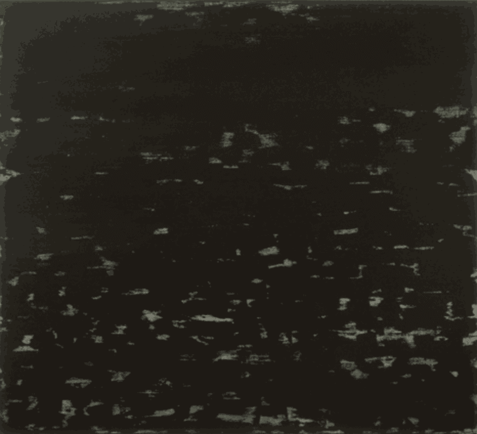 Manijeh Yadegar, C3-04, 2004