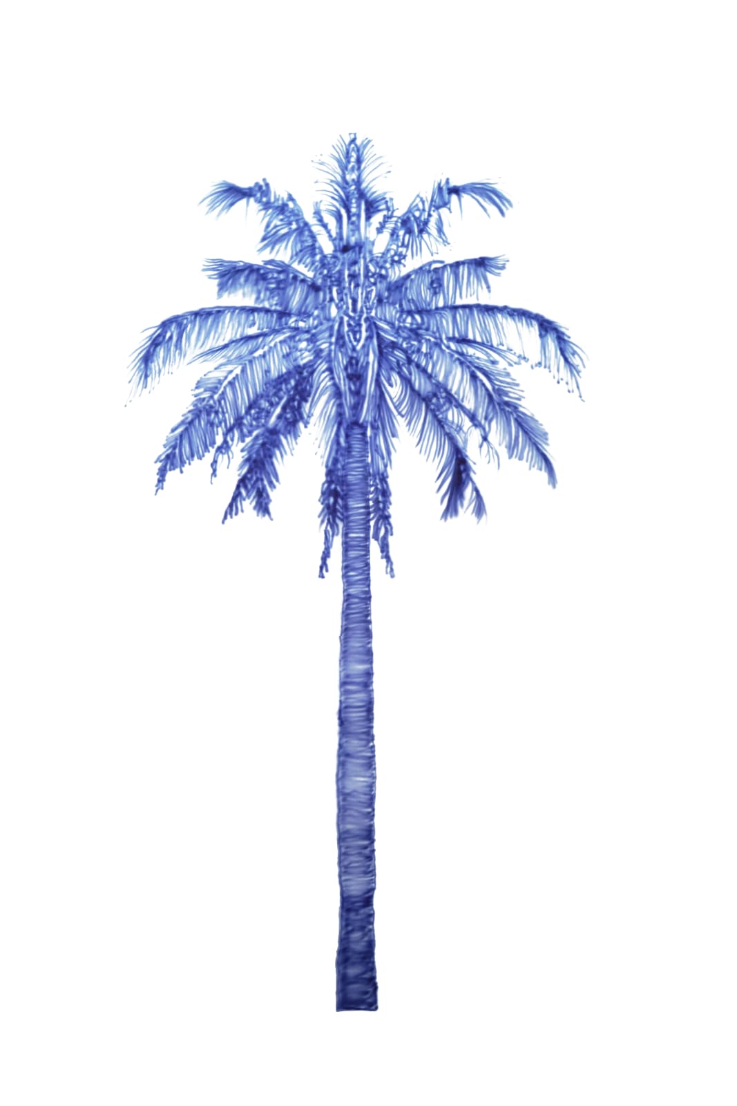 Eamon O'Kane, Baum Test Blue Palm II, 2023