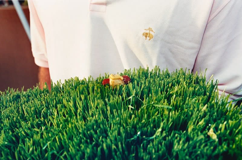 Jessica Craig-Martin, Brooks Brothers Weiner (Cancer Benefit, Southampton) , 2006