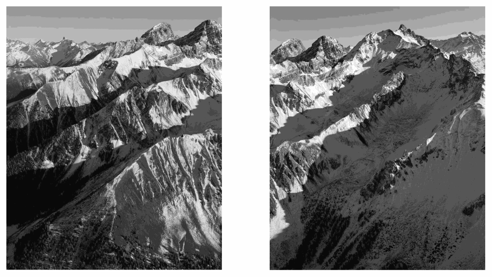 Guido Baselgia, Elas (Diptych) , 2011