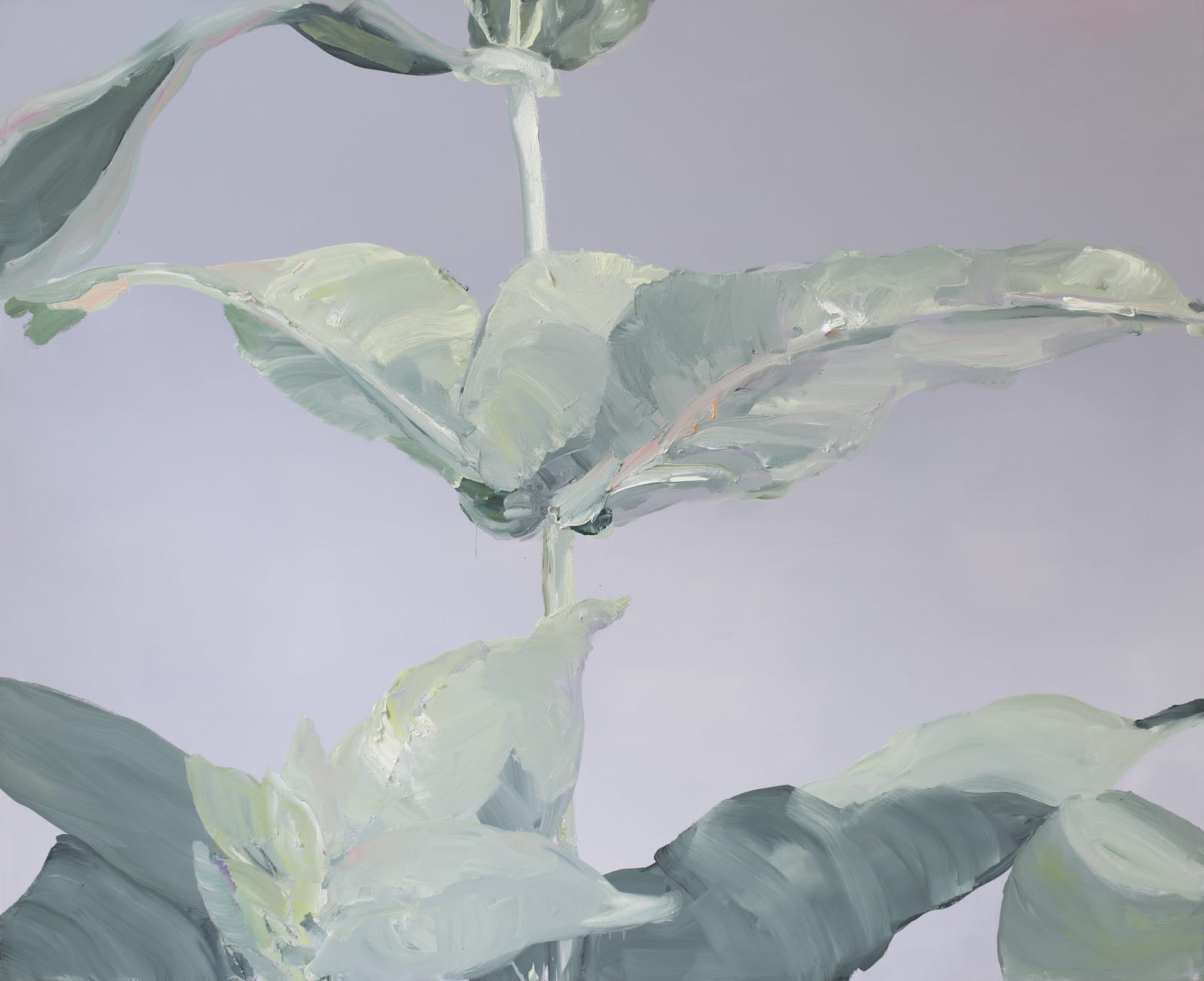 Barbara Ellmerer, Globulus Magnus, 2011