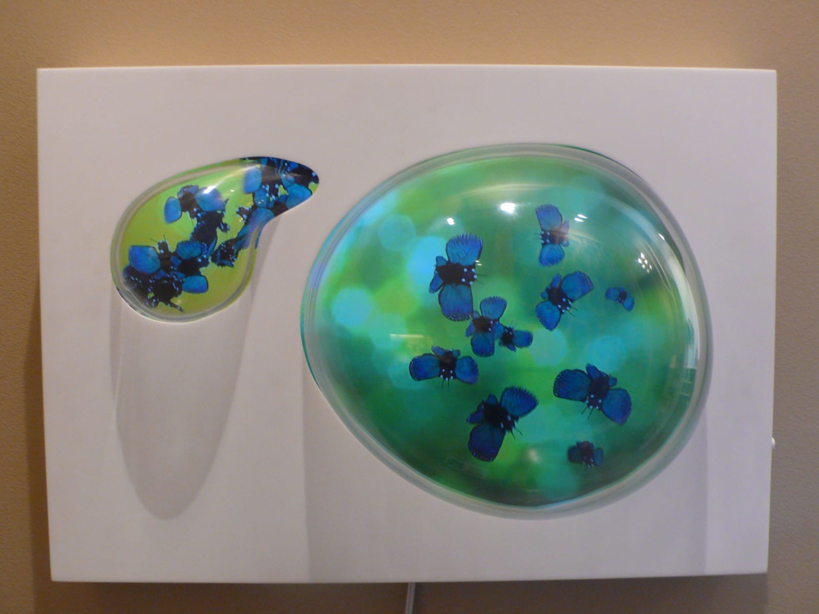 Katja Loher, Why dont we create more space for butterflies?, 2015