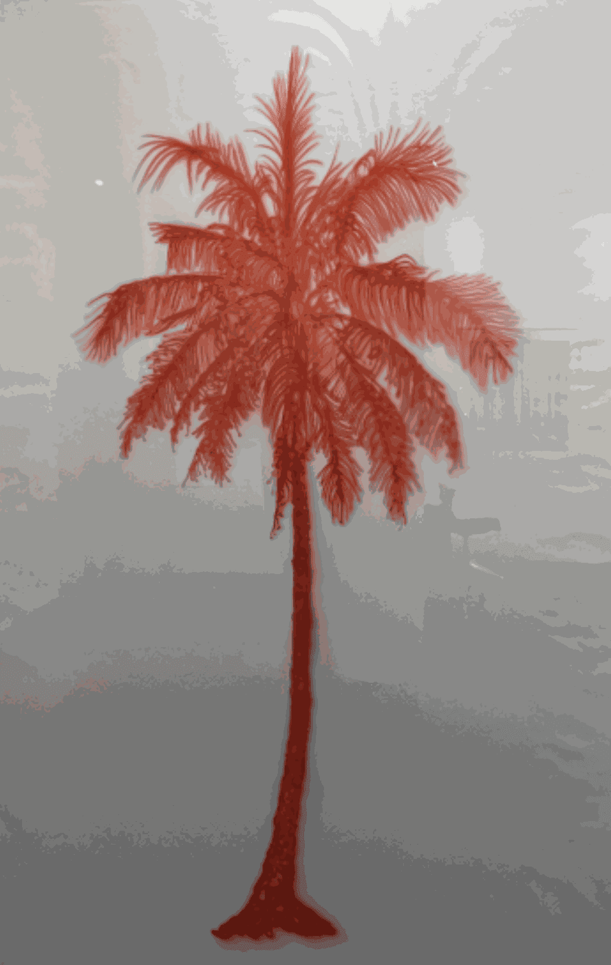 Eamon O'Kane, Red Palm Tree, 2023