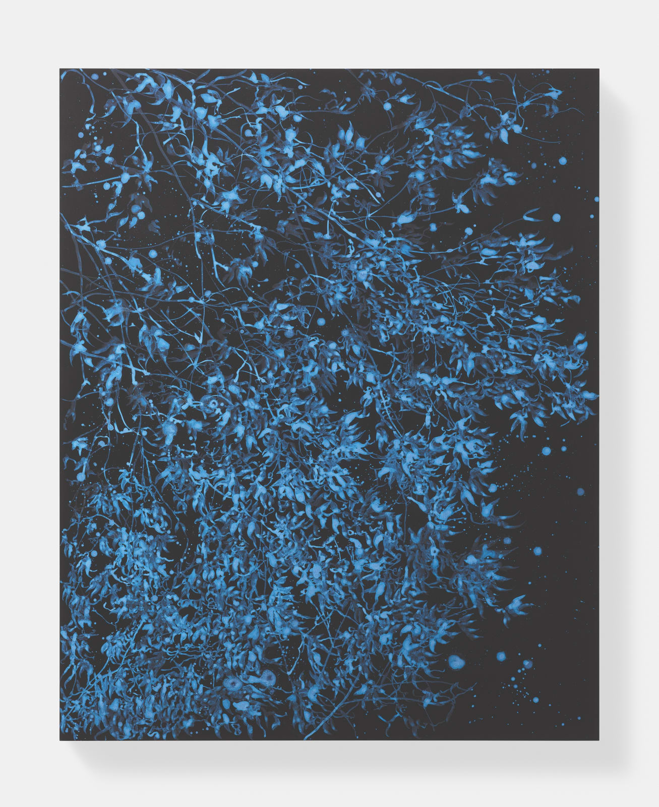 Sue Arrowsmith, To tempt you in, 2019