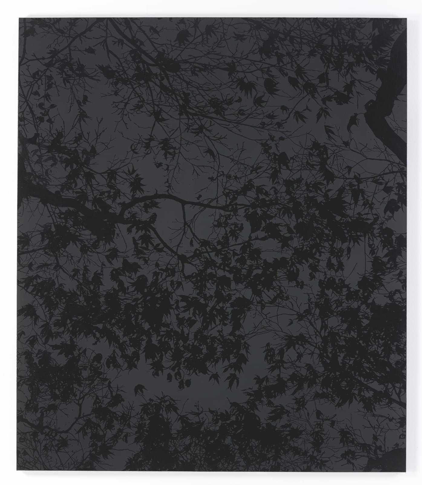 Sue Arrowsmith, Enchanted evening, 2013