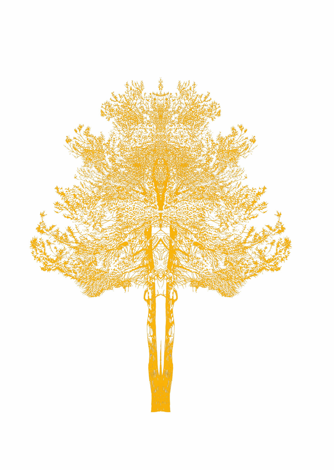 Eamon O'Kane, Orange Baum Test, 2022